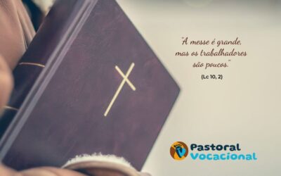 14º Domingo do Tempo Comum