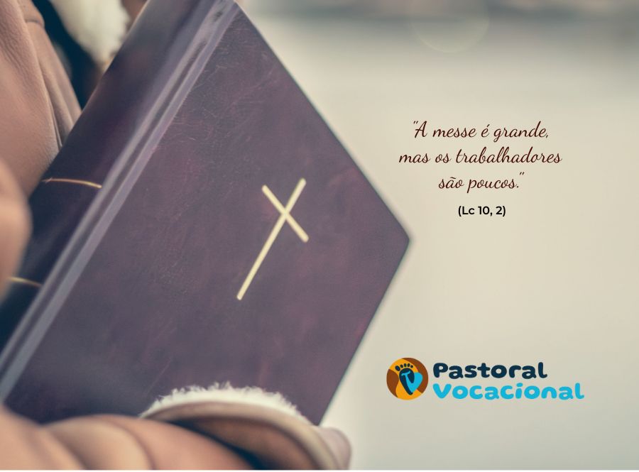 14º Domingo do Tempo Comum