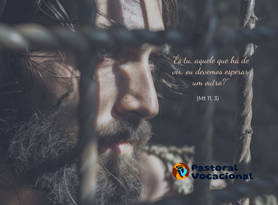 3º Domingo do Advento