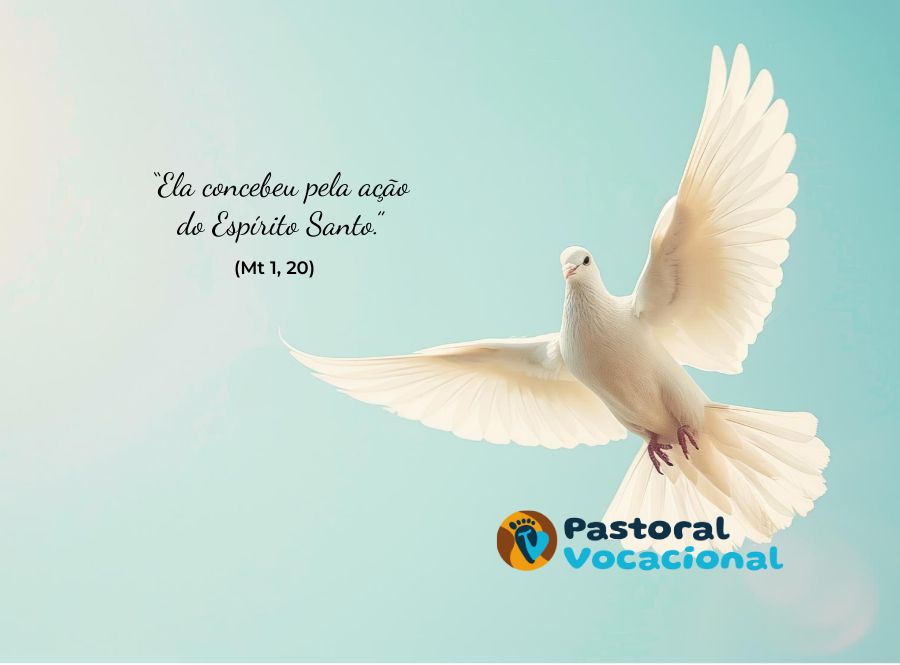 4º Domingo do Advento