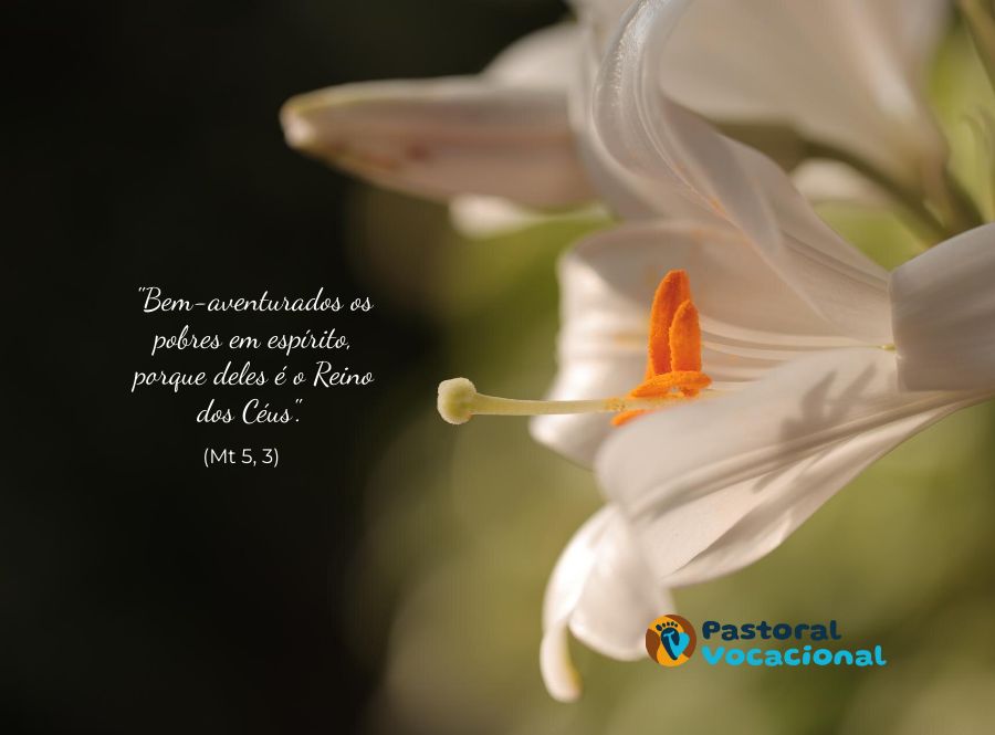 4º Domingo do Tempo Comum