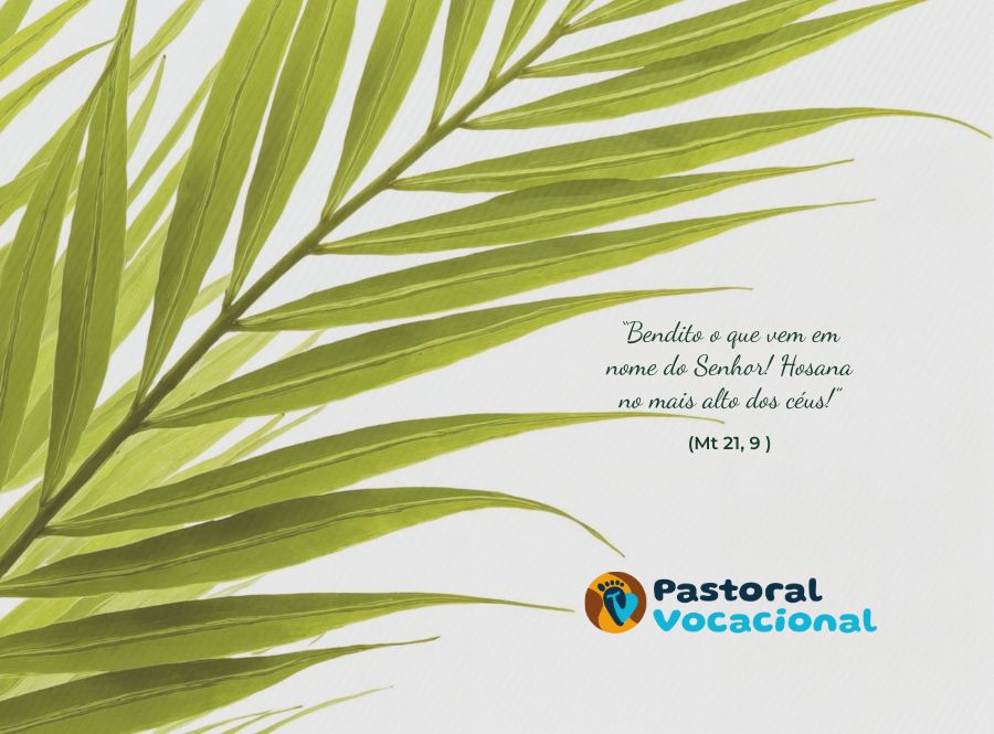 6º Domingo da Quaresma – Ramos