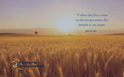 16º Domingo do Tempo Comum