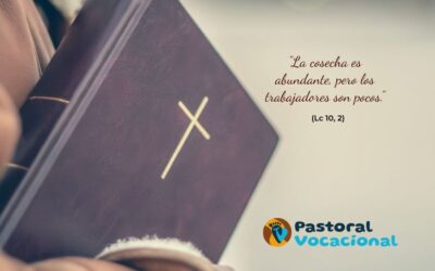 14º Domingo del Tiempo Ordinario