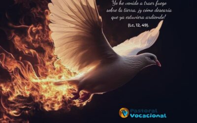 20º Domingo del Tiempo Ordinario