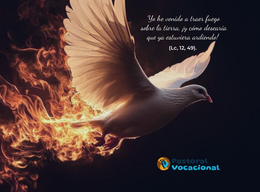 20º Domingo del Tiempo Ordinario