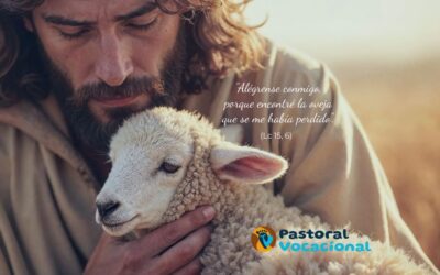 24º Domingo del Tiempo Ordinario