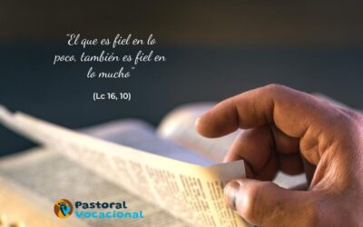 25º Domingo del Tiempo Ordinario