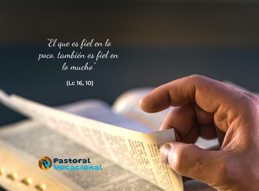 25º Domingo del Tiempo Ordinario