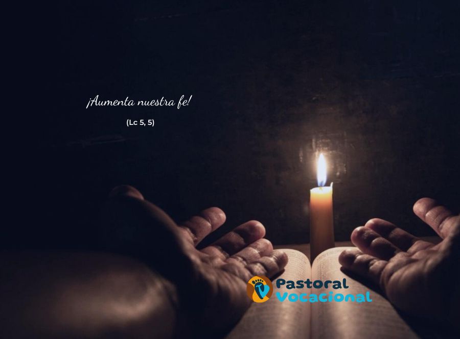 28º Domingo del Tiempo Ordinario