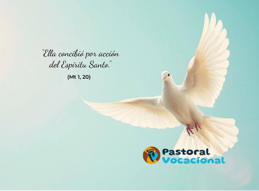 4º Domingo de Adviento