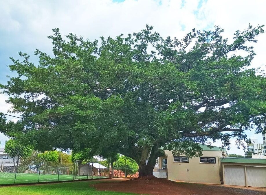 De la fragilidad a la esperanza