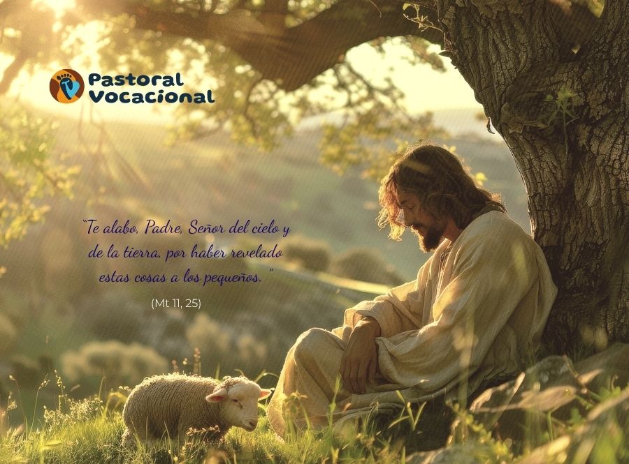 14º Domingo del Tiempo Ordinário