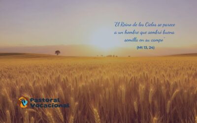 16º Domingo del Tiempo Ordinario