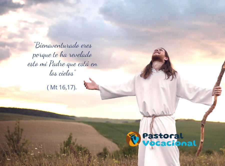 21º Domingo del Tiempo Ordinario